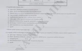 3. sz. függ. Orvosi nyilatkozat munkavégző képességről 1